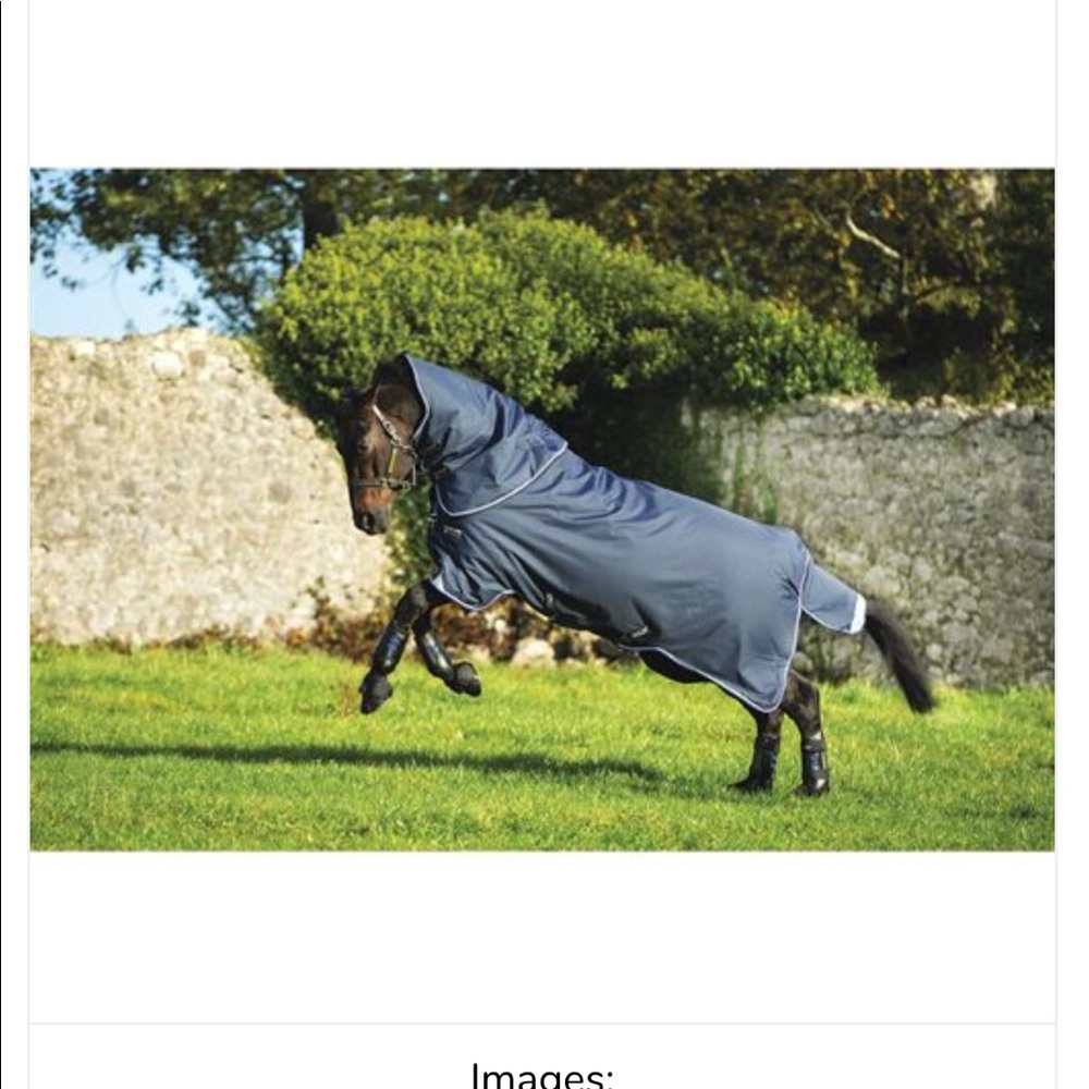 Amigo navy horse blanket